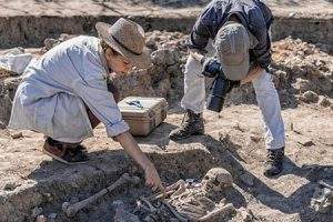 researchers in dirt pit look at skeleton on ground