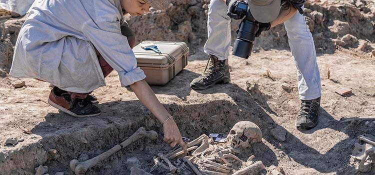 researchers in dirt pit look at skeleton on ground