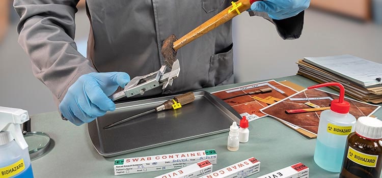forensic scientist measures tagged dirty hammer end with calipers at desk with test swabs and evidence photos