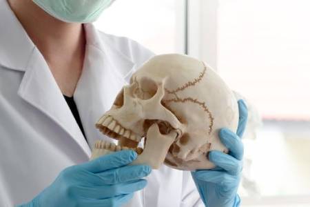 a forensic anthropologist in a lab coat examines a human skull