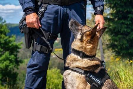a k9 officer holds the leash of a police dog